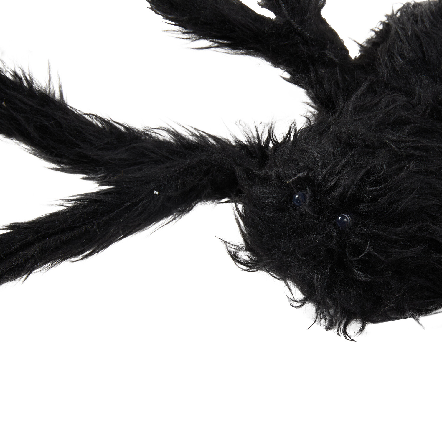 Halloween Animated Spider Black Image 5