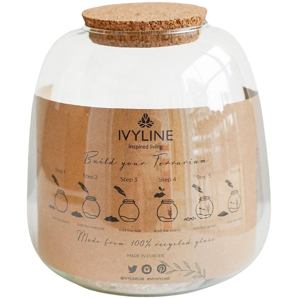 Ivyline Medium Bowl Shape Terrarium DIY Kit 20 x 19cm Image 3