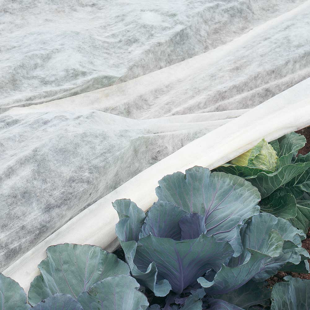 Garden Gear Thermagro Rolled Plant Frost Protection Fleece 2 x 10m Image