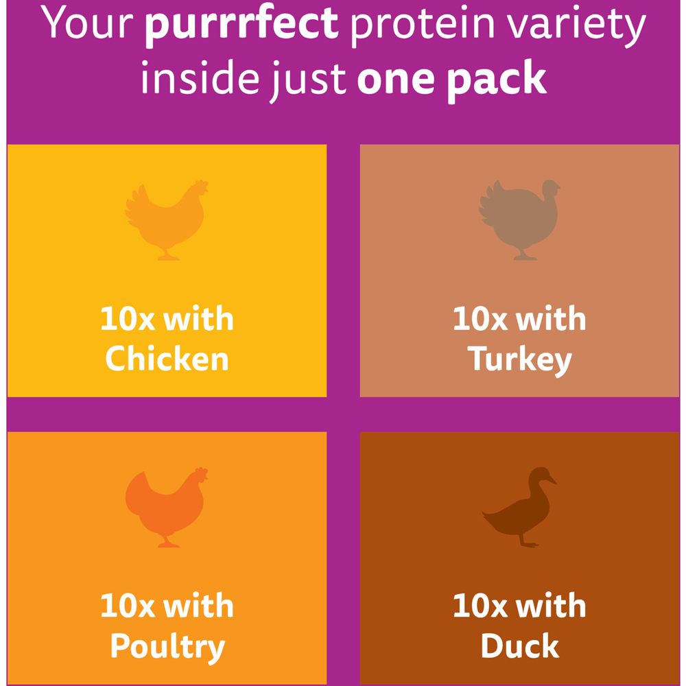 Pack of 40 Whiskas Poultry Feasts in Jelly Wet Kitten Food Pouches Image 6