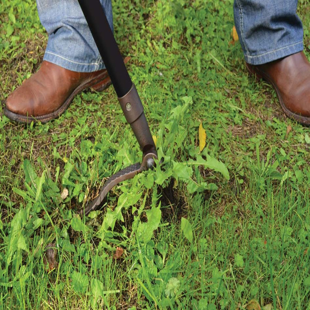 Easy Weeder Image 2