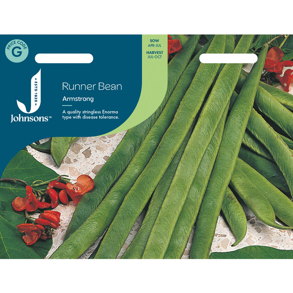 Stringless Runner Bean Armstrong Seeds Image 2