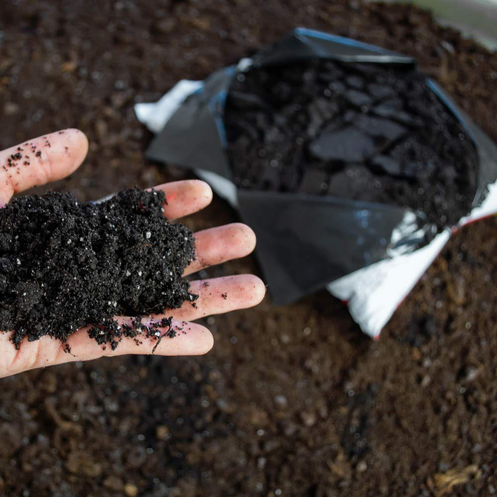 Thompson & Morgan Ericaceous Compost 25L Image 2