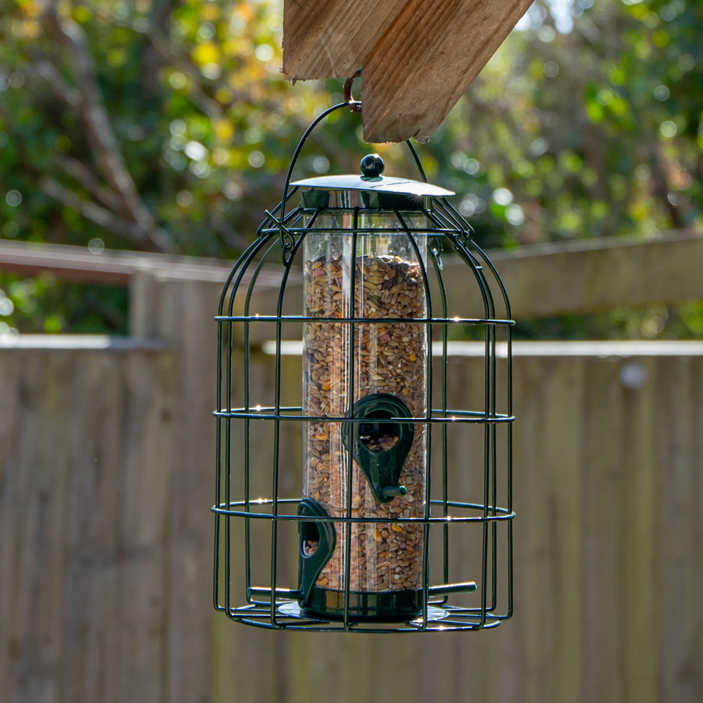 Samuel Alexander Metal Hanging Bird Seed Feeder with Squirrel Guard 3 Pack and 1kg Seed Feed Image 3