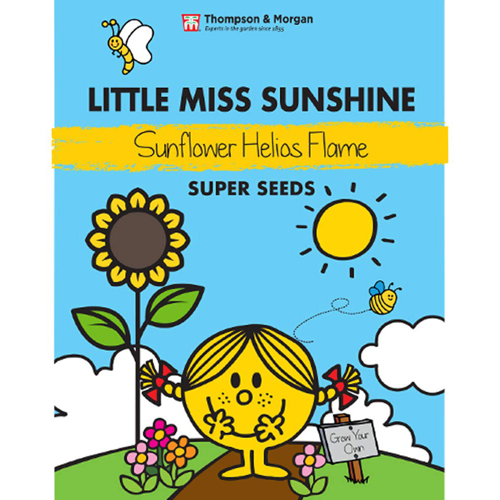 Thompson & Morgan Mr Men Little Miss Sunshine Sunflower Helios Flame Seeds Image 2
