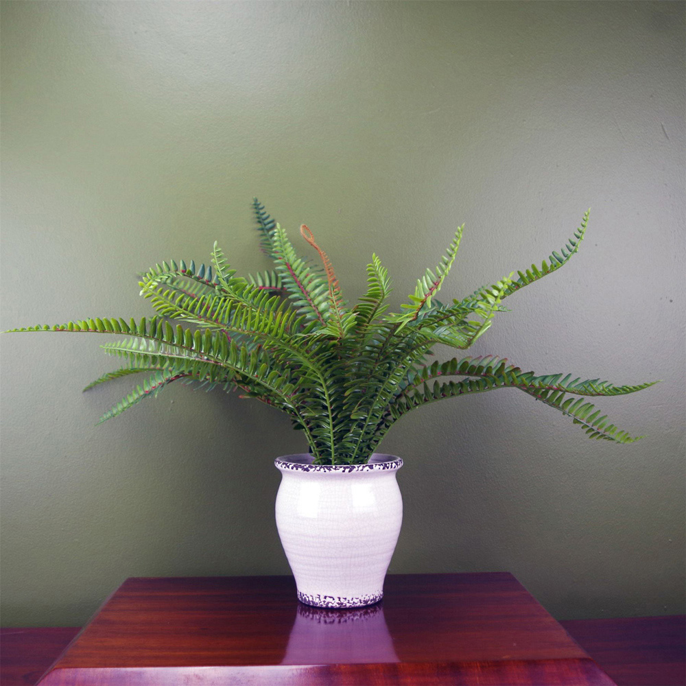 Leaf Bushy Fern Artificial Plant in Planter 40cm Image 2