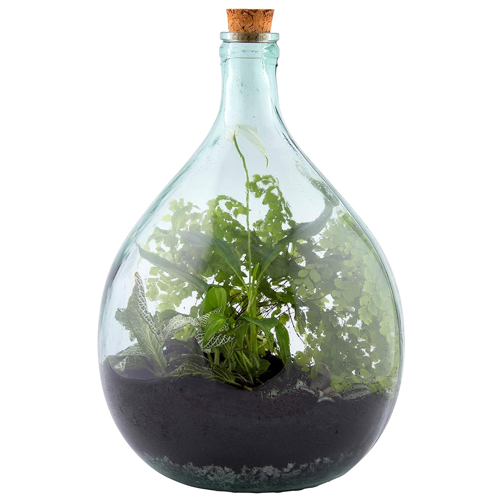 Fallen Fruits Green Glass Terrarium Bottle Set 15L Image 3