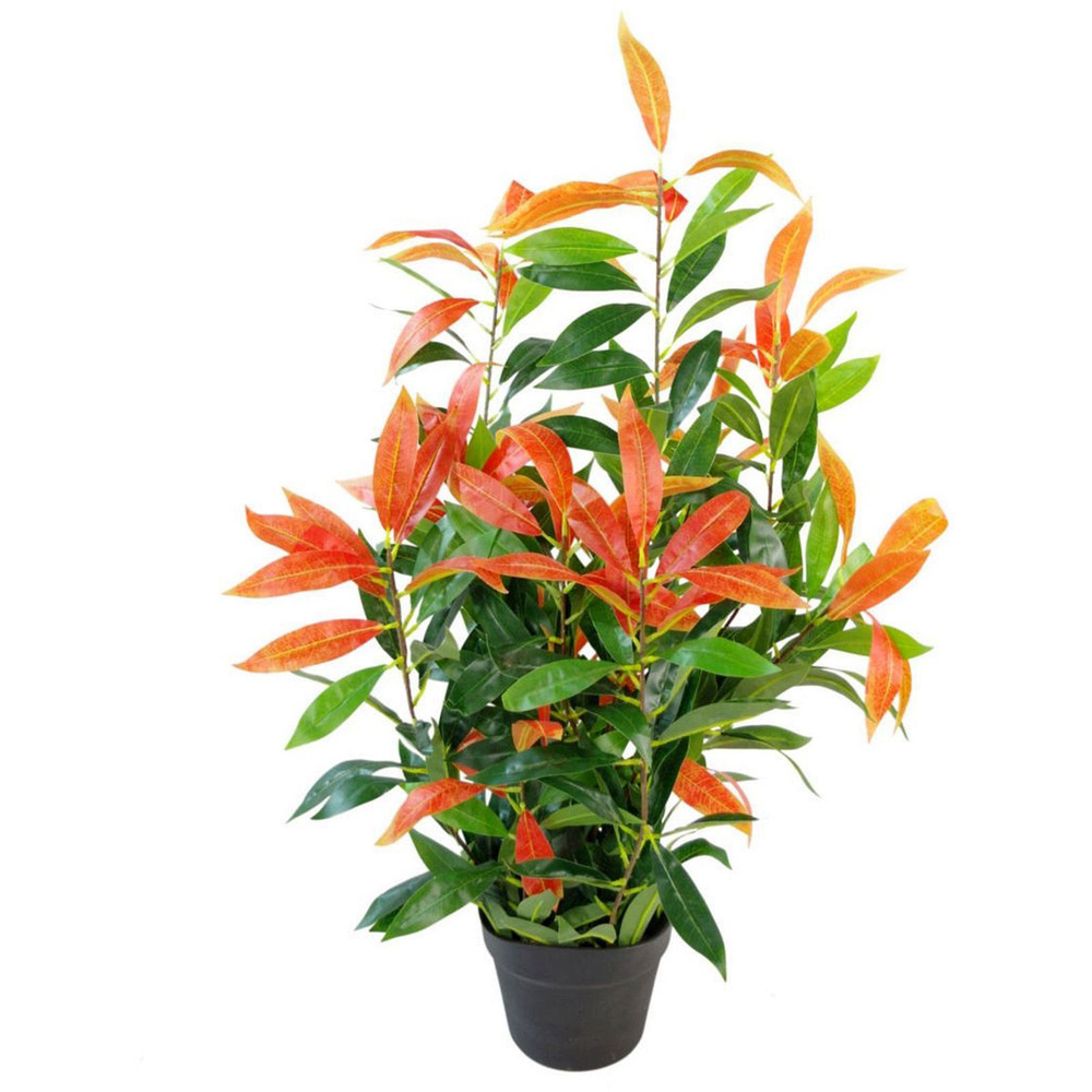 Leaf Red Robin Ficus Artificial Tree Pot 80cm Image