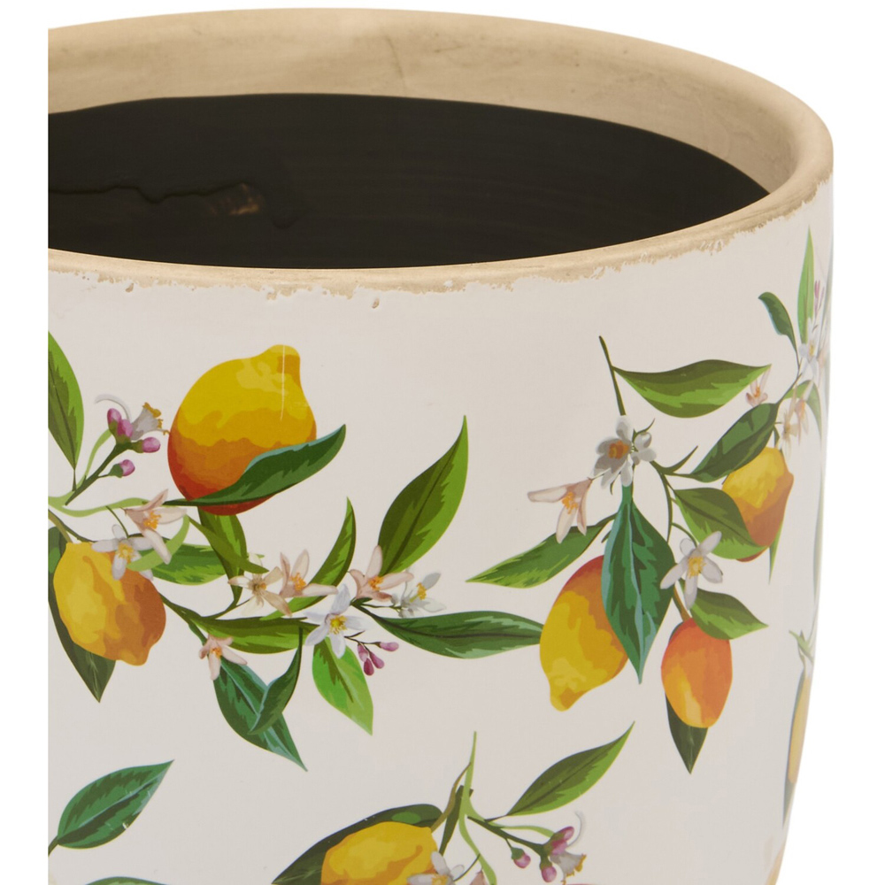 Lemon Egg Plant Pot 19cm Image 2