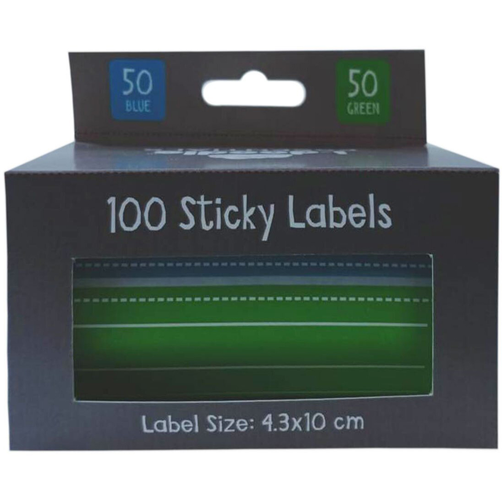 Pack of 100 Sticky Labels Blue and Green Image