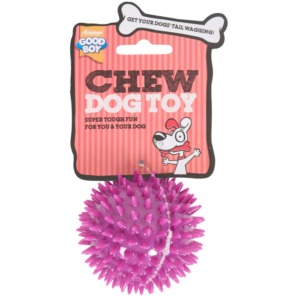 Single Good Boy Rubber Dog Chew Toy in Assorted styles Image 2