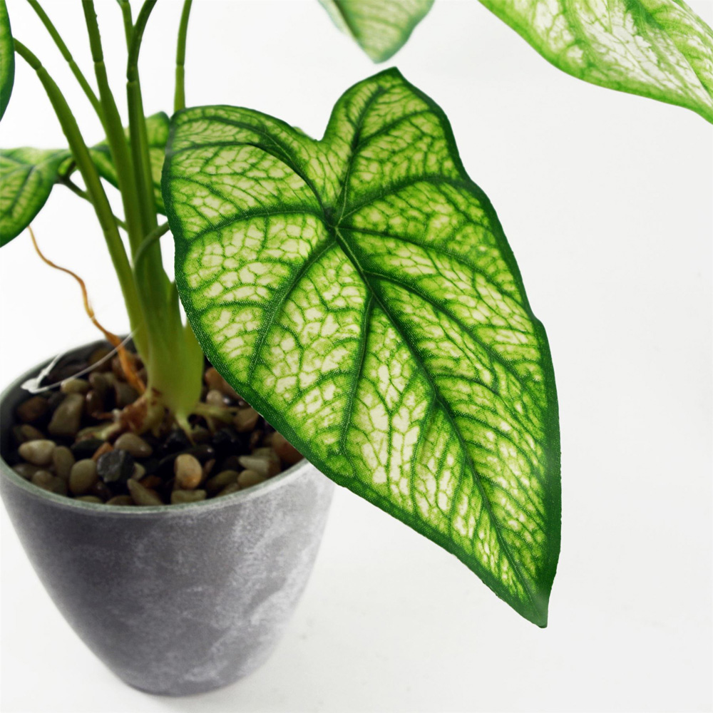 Leaf Taro Artificial Plant in Pot 40cm Image 2