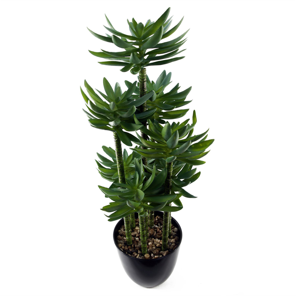 Leaf Tropical Yukka Artificial Plant in Pot 2ft Image 5