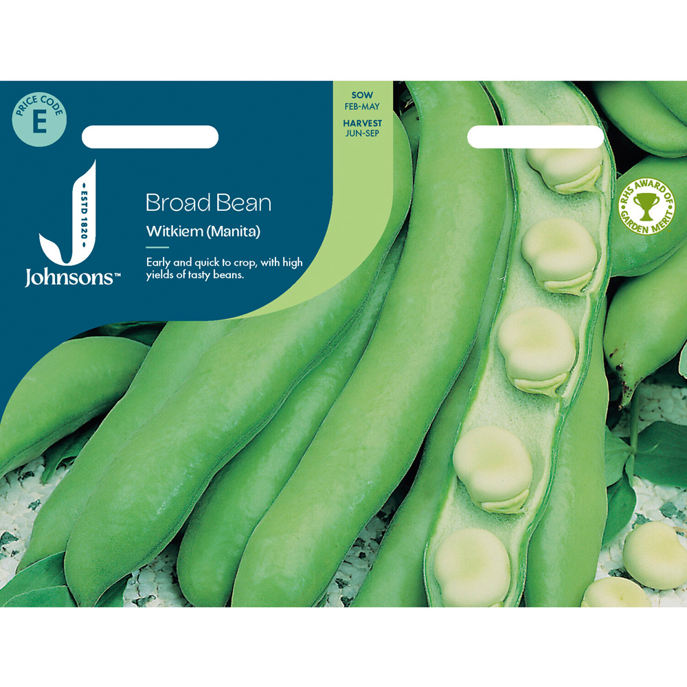 Broad Bean Witkiem Manita Seeds Image 1