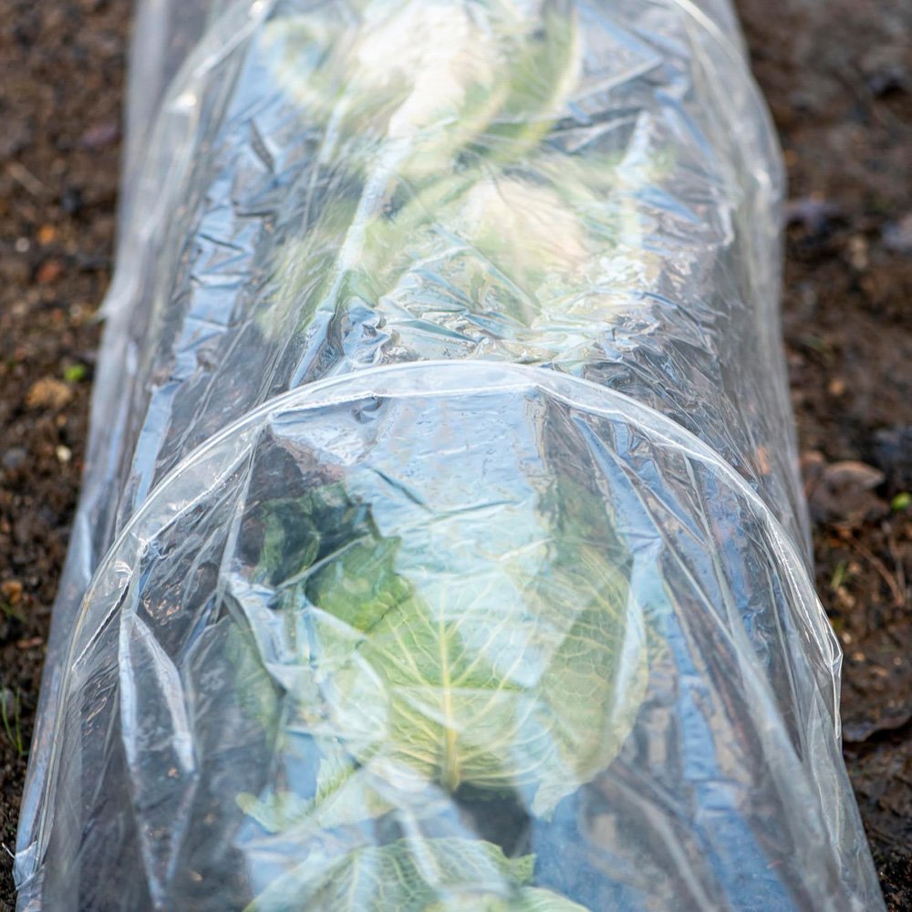 Garden Gear PE Greenhouse Tunnel Image 4