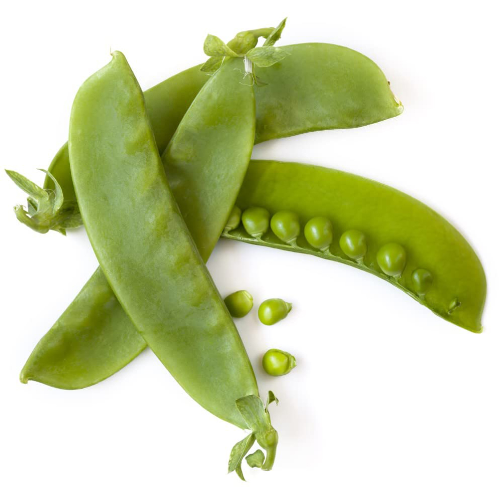 Thompson and Morgan Pea Mangetout Sweet Horizon Seeds Image 2