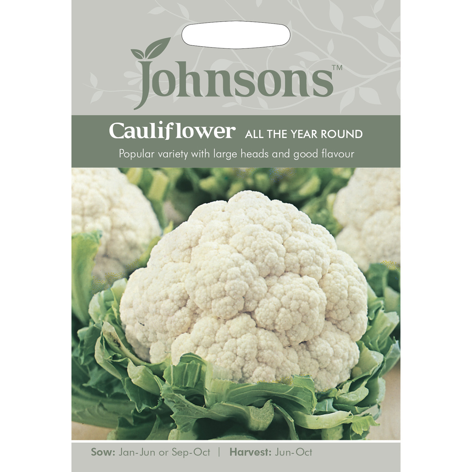 Johnsons All Year Round Cauliflower Seeds Image 2