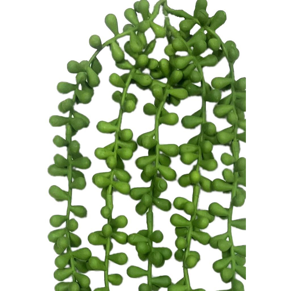 Leaf String of Fern Pearls Hanging Artificial Plant 2ft Image 2