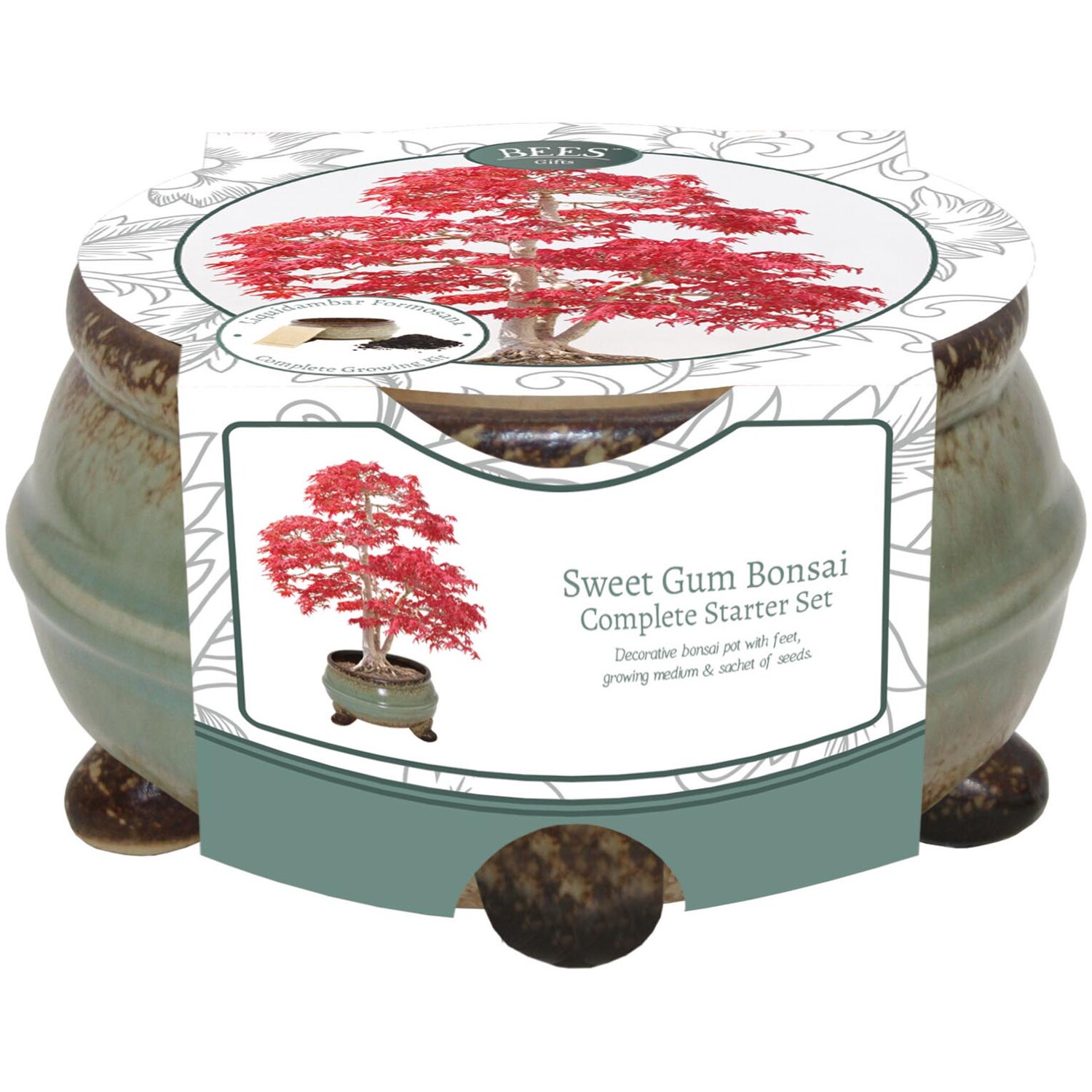 Sweet Gum Bonsai Bowl with Legs - Green Image