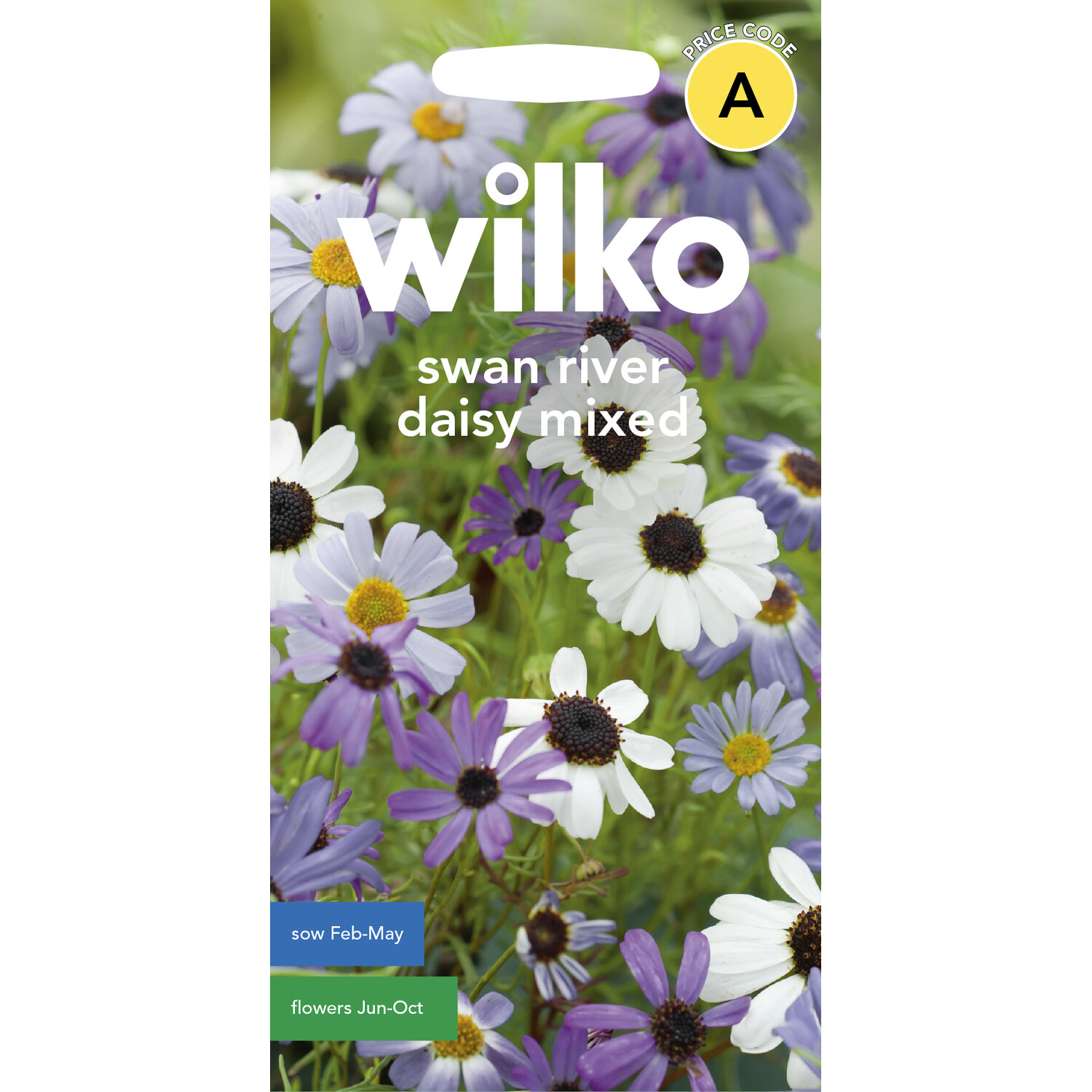 Wilko Swan River Daisy Mix Seeds Image 1