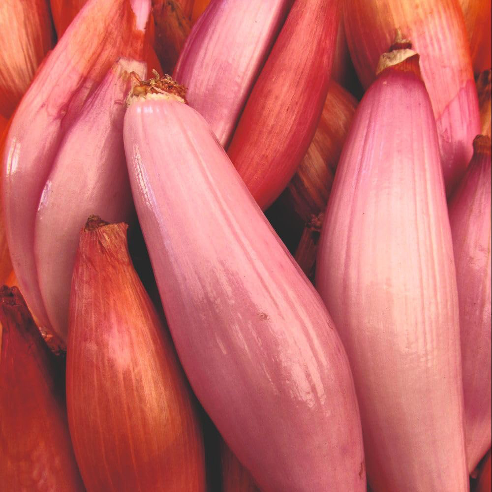 Thompson and Morgan Shallot Banana Simiane Seed Packet Image
