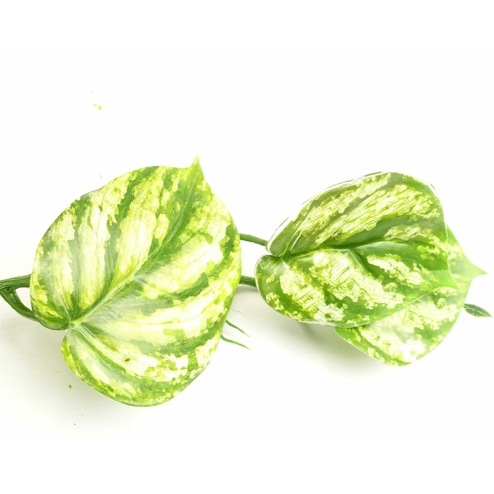 Leaf Trailing Devils Ivy Hanging Artificial Plant 180cm Image 3