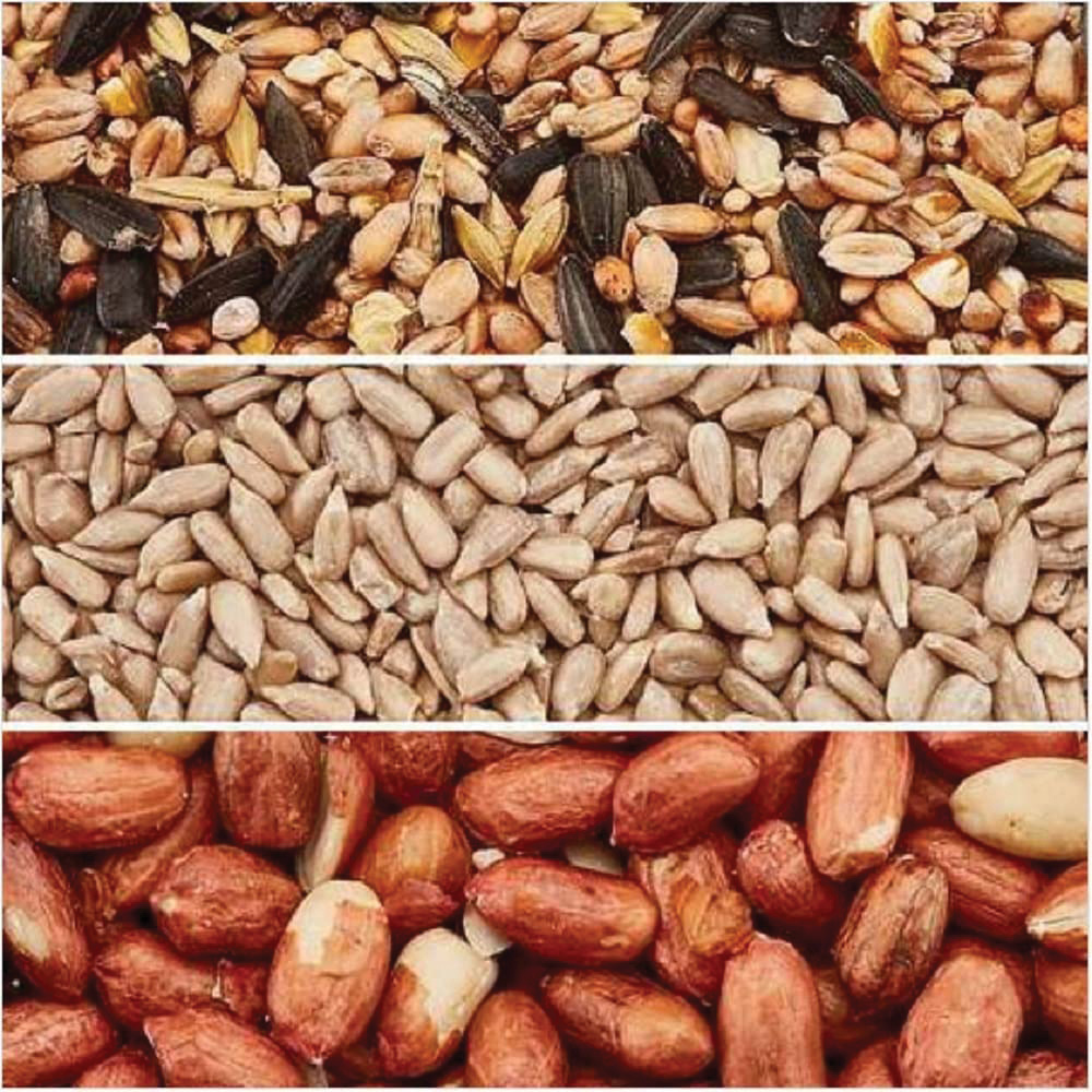 Thompson & Morgan All Seasons Bird Feed Bundle 25.5kg Image 1
