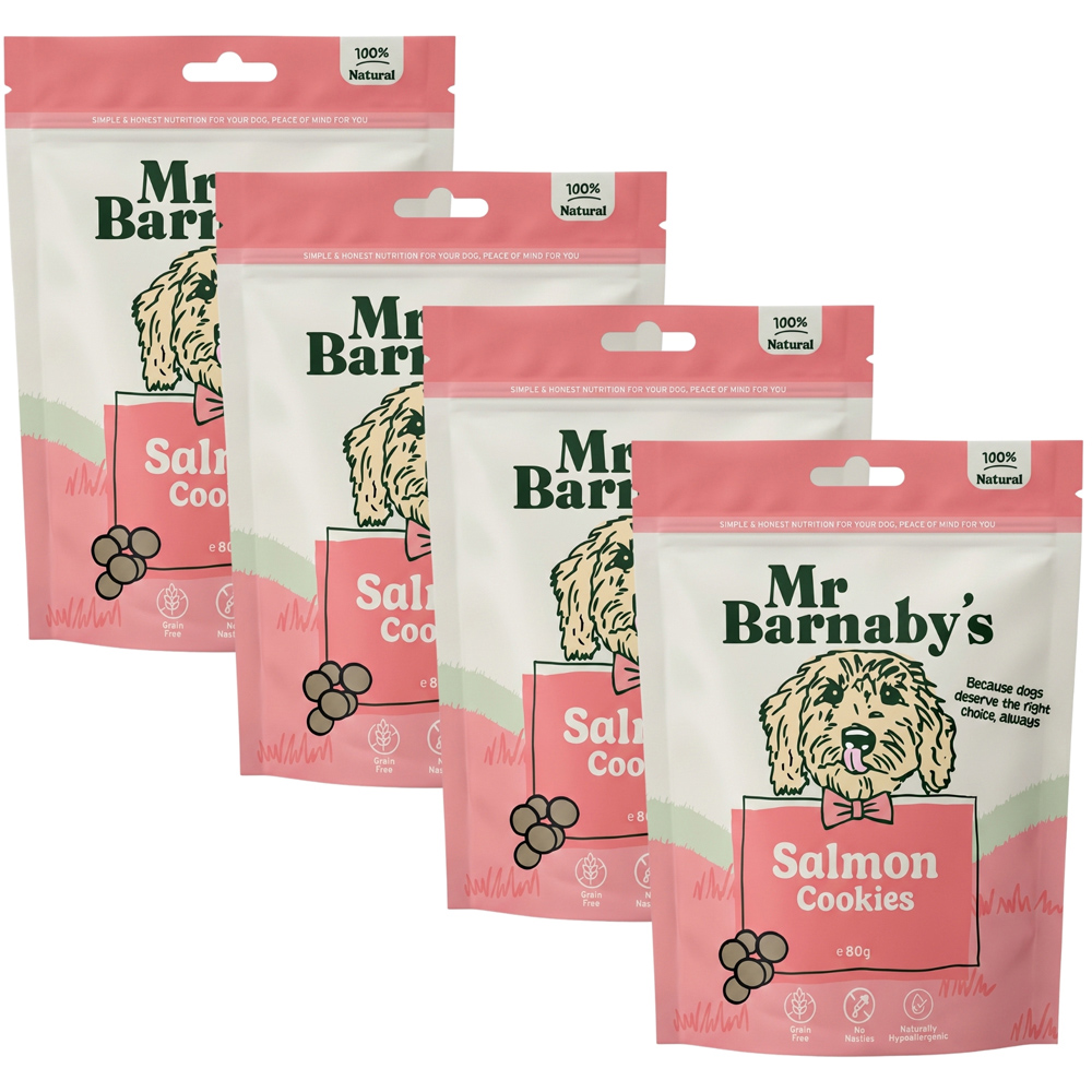 Mr Barnaby's Salmon Cookies 80g 4 Pack Image 1