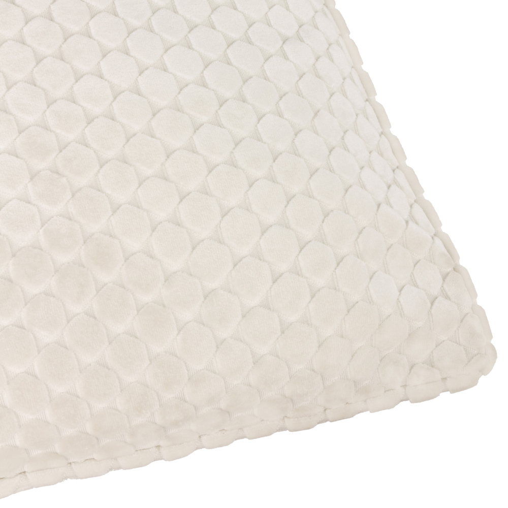 Paoletti Neptune Ivory Velvet Cushion 50 x 50cm Image 4