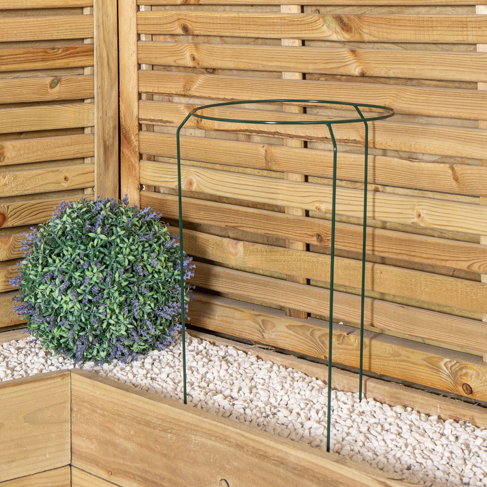 Samuel Alexander Urban Metal Herbaceous Plant Support Ring 30 x 50cm Image 4
