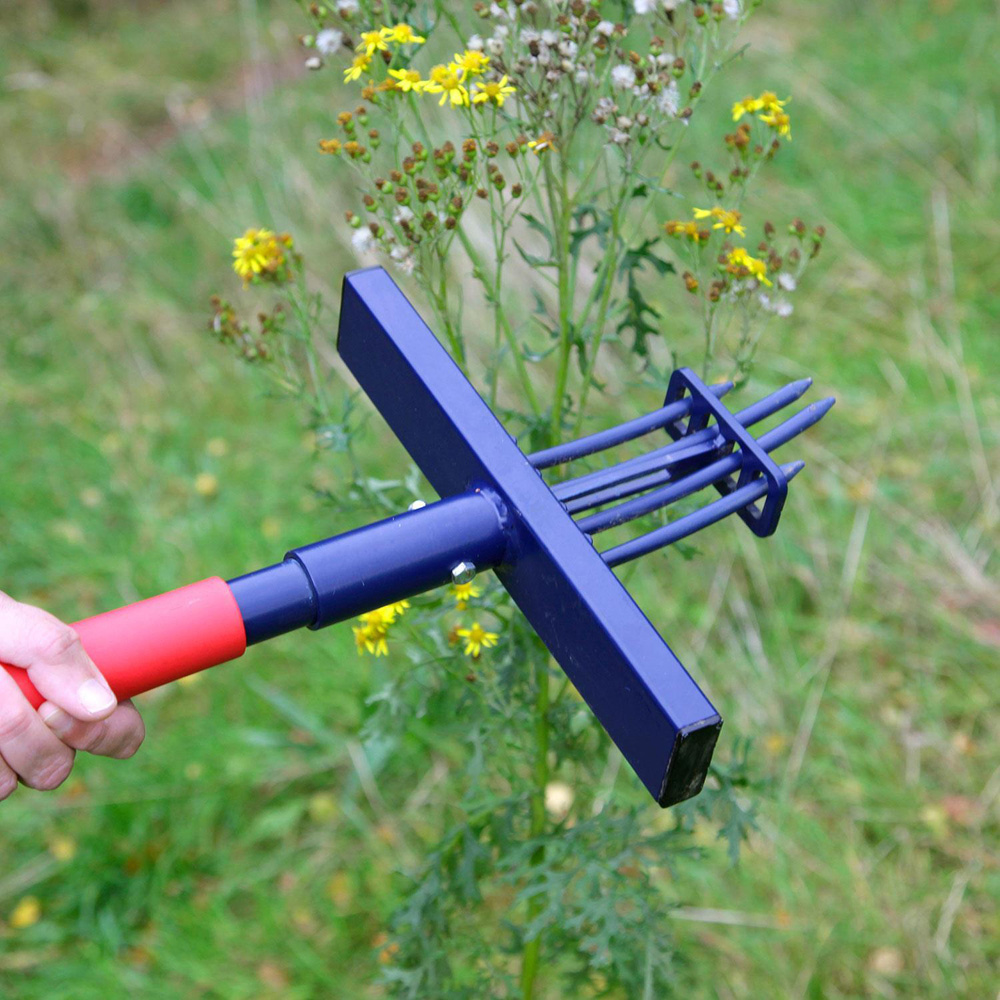 Spear & Jackson Ragwort Ultra Long Handle Weeder Image 7