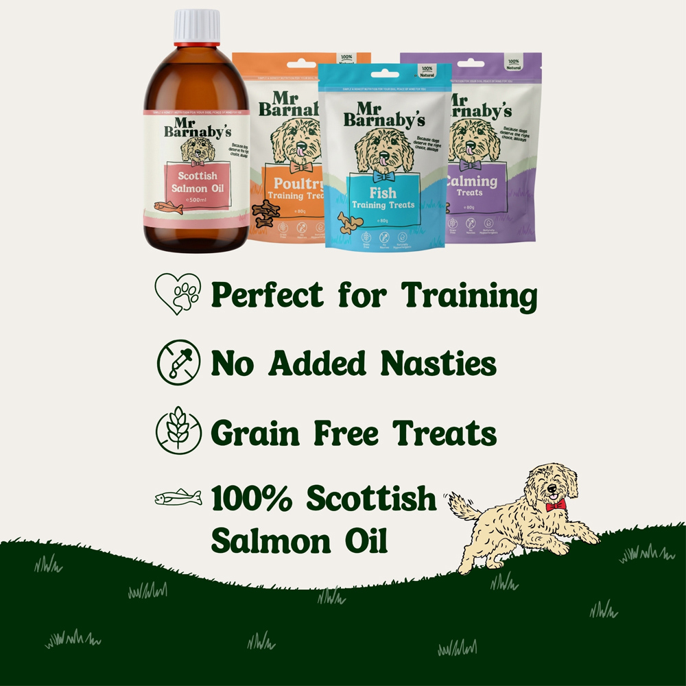 Mr Barnaby's Puppy Starter Bundle Image 6