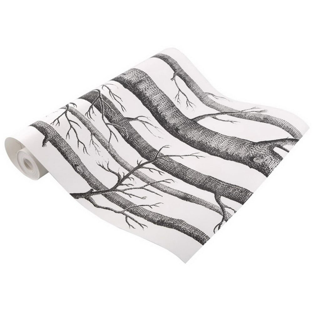 Living and Home Birch Tree Wallpaper Image 2