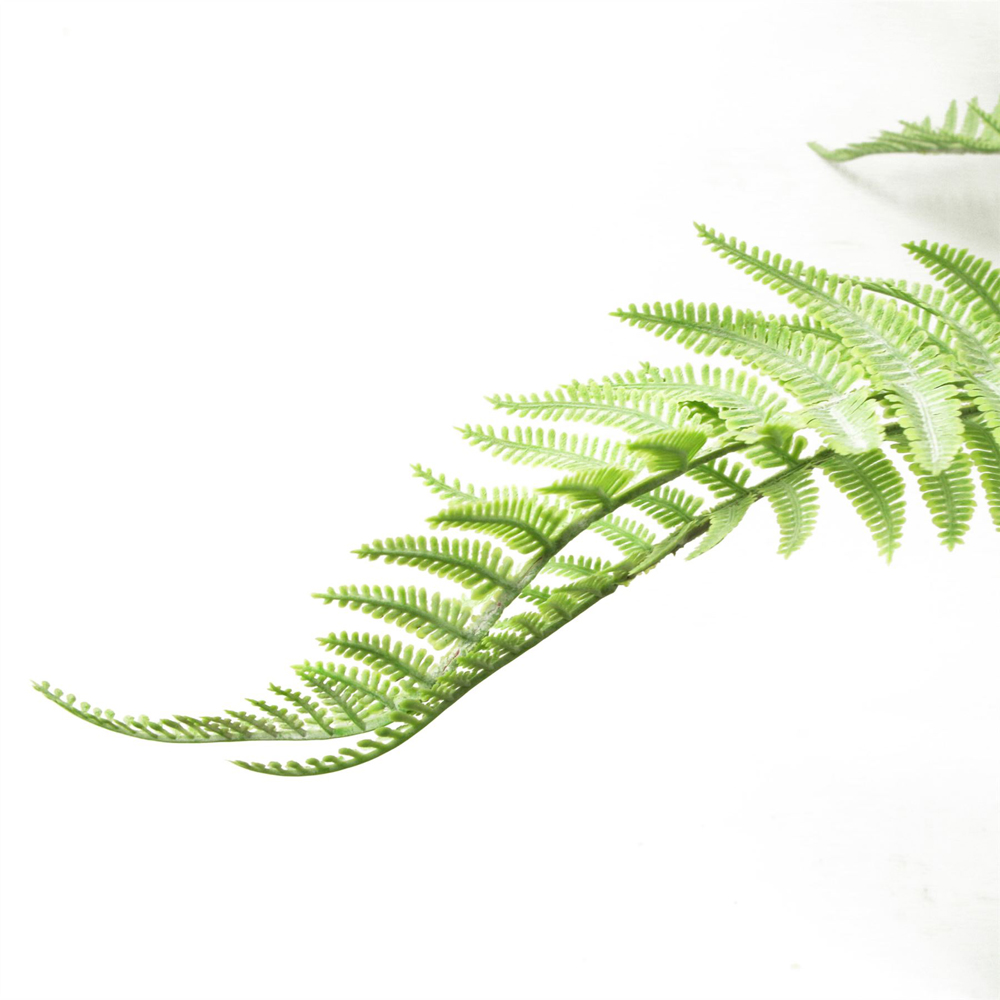 Leaf Light Green Bushy Dixie Wood Fern Artificial Plant 60cm 6 Pack Image 3