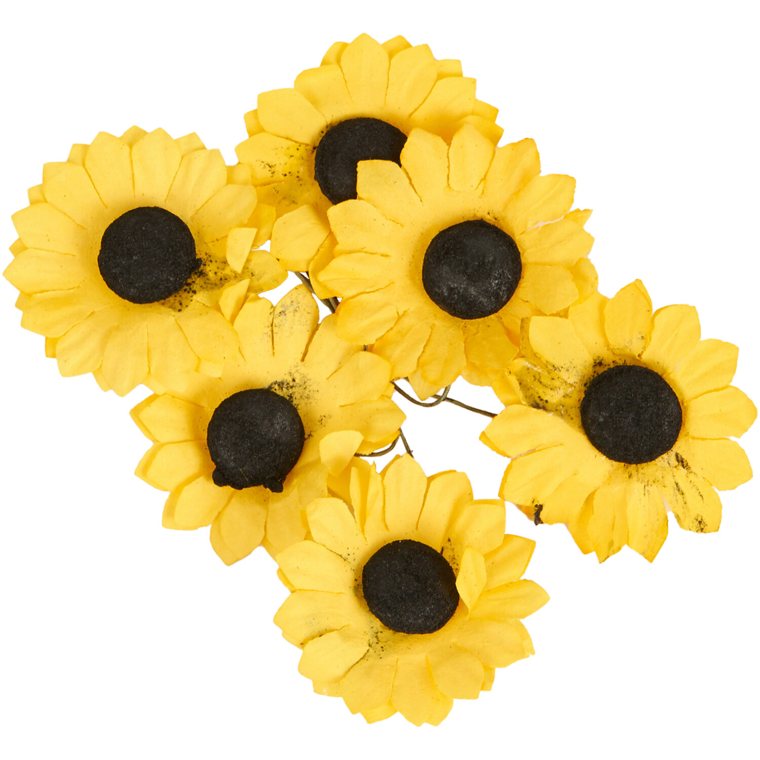 Art Studio Large Sunflower 6 Pack Image 2