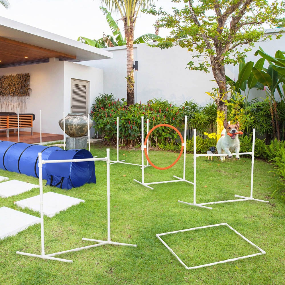 PawHut 6 Piece Dog Agility Equipment Set Image 2