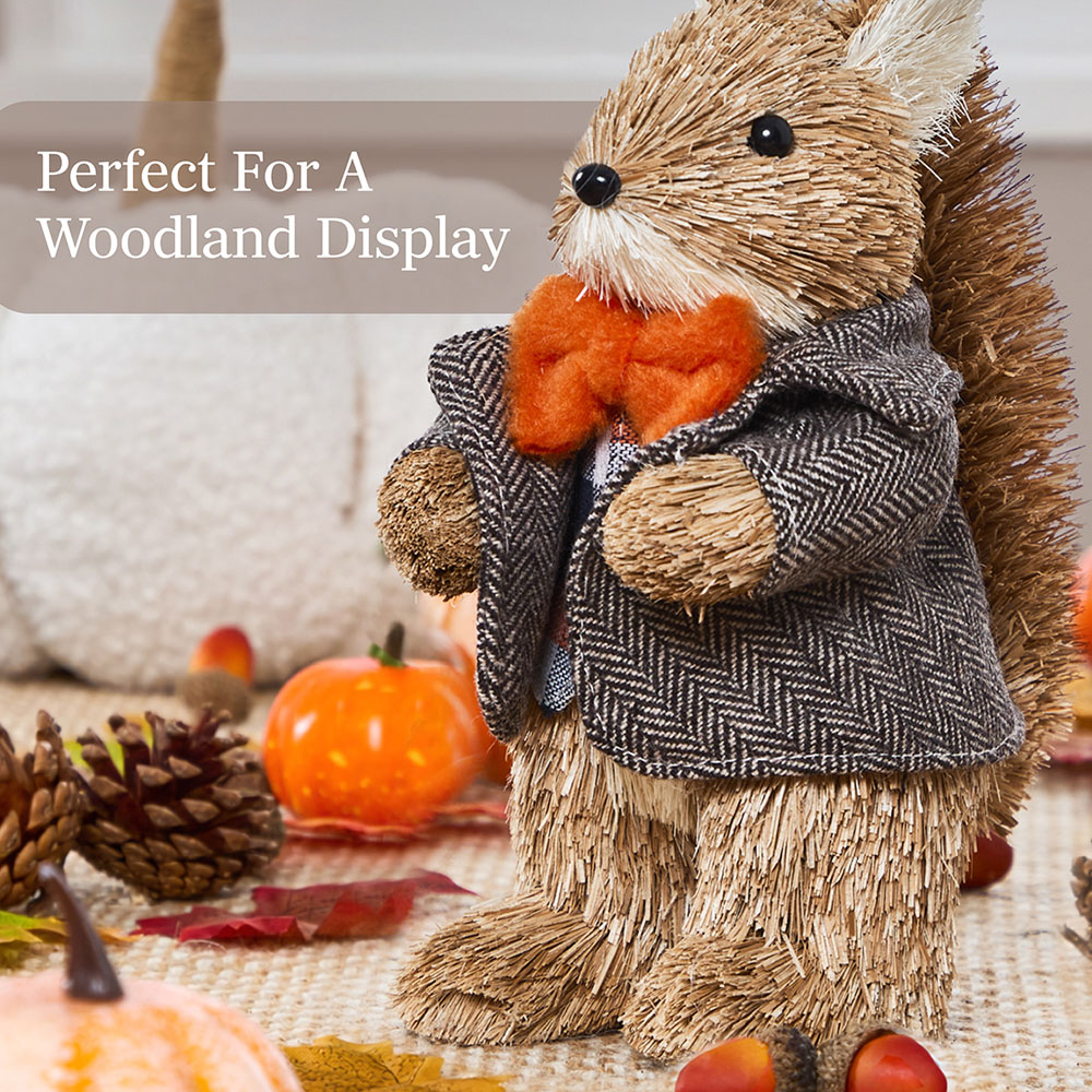 Benross Anika Mr Squirrel Straw Decor 19cm Image 5