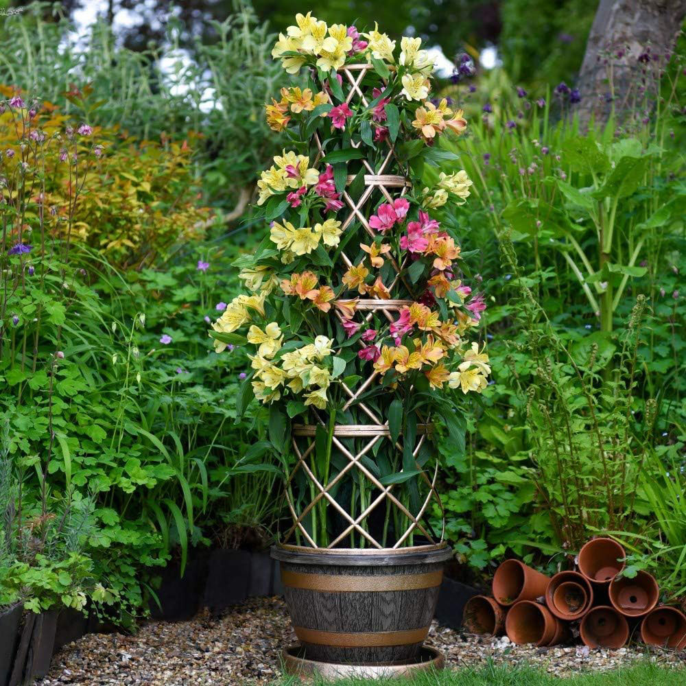 Thompson and Morgan Wooden Barrel Effect Tower Pot 24cm Image 6