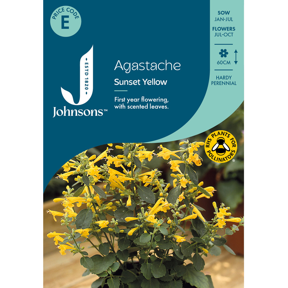 Pack of Agastache Sunset Yellow Perennial Plant Seeds Image 1