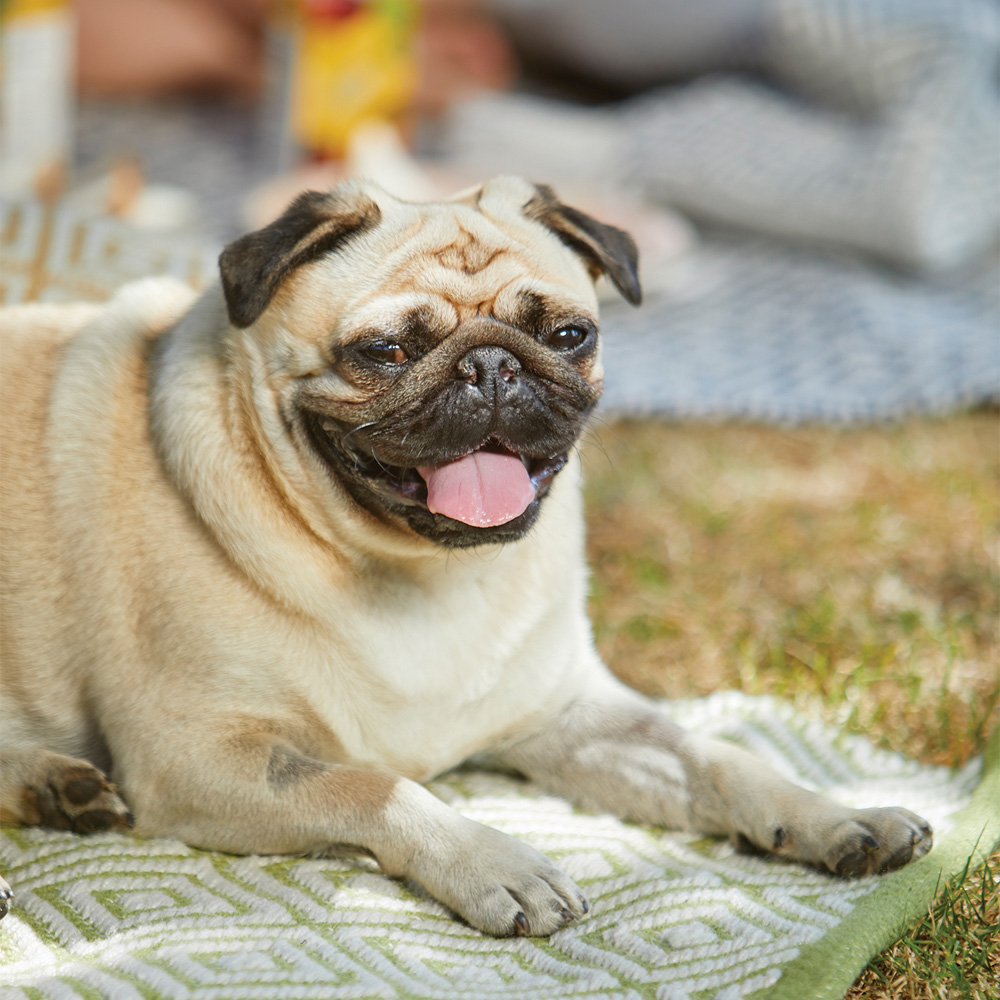 Hug Rug Green Woven Diamond Rug 120 x 170cm Image 2