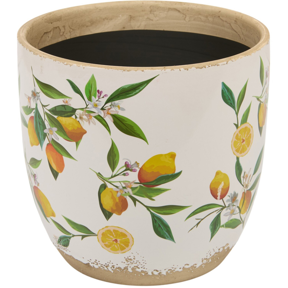 Lemon Egg Plant Pot 17cm Image 1