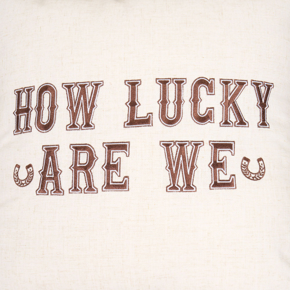 How Lucky Are We Cushion Image 4