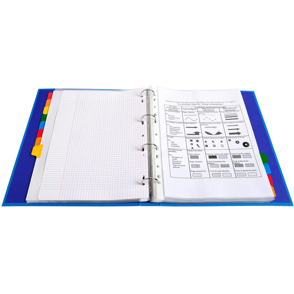 Exacompta A4 Maxi 12 Section White Divider with Multicolour Tabs 20 Pack Image 7