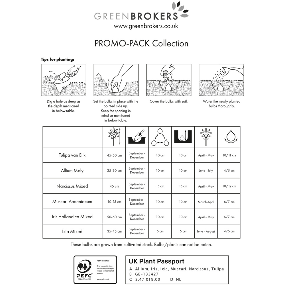 GreenBrokers Bulb Bee Friendly Flower Mix in Eco Bag 202 Pack Image 3
