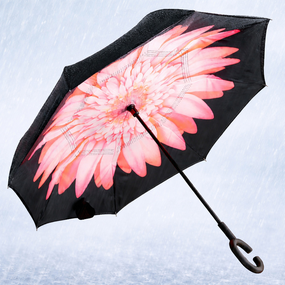 Avilo Multicolour Double Layer Self-Standing Windproof Umbrella Image 3