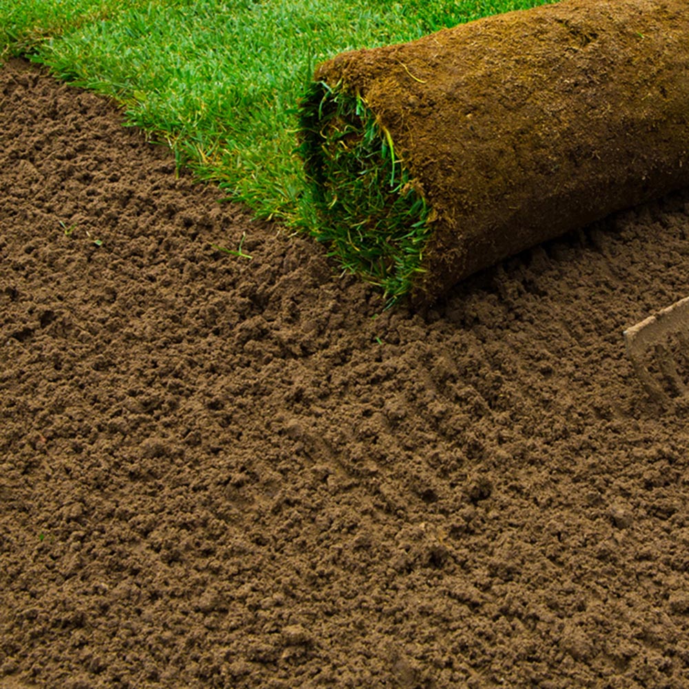 Harrowden Lawn Turf 40sqm Image 4