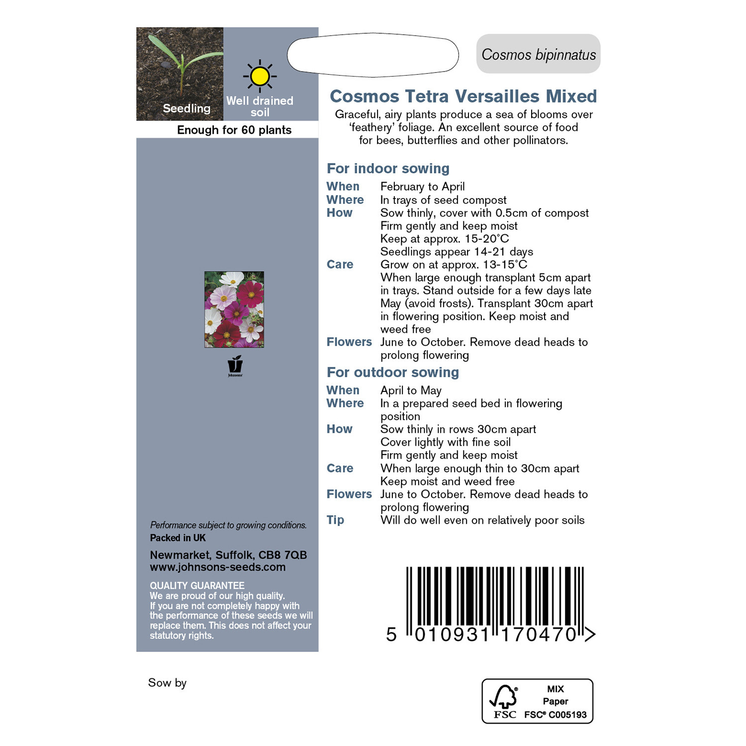 Johnsons Cosmos Tetra Versailles Mixed Flower Seeds Image 3