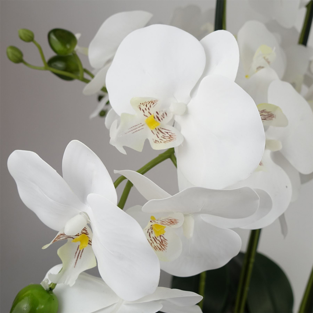 Botanik White Orchid Artificial Tree in Glass Planter 50cm Image 3