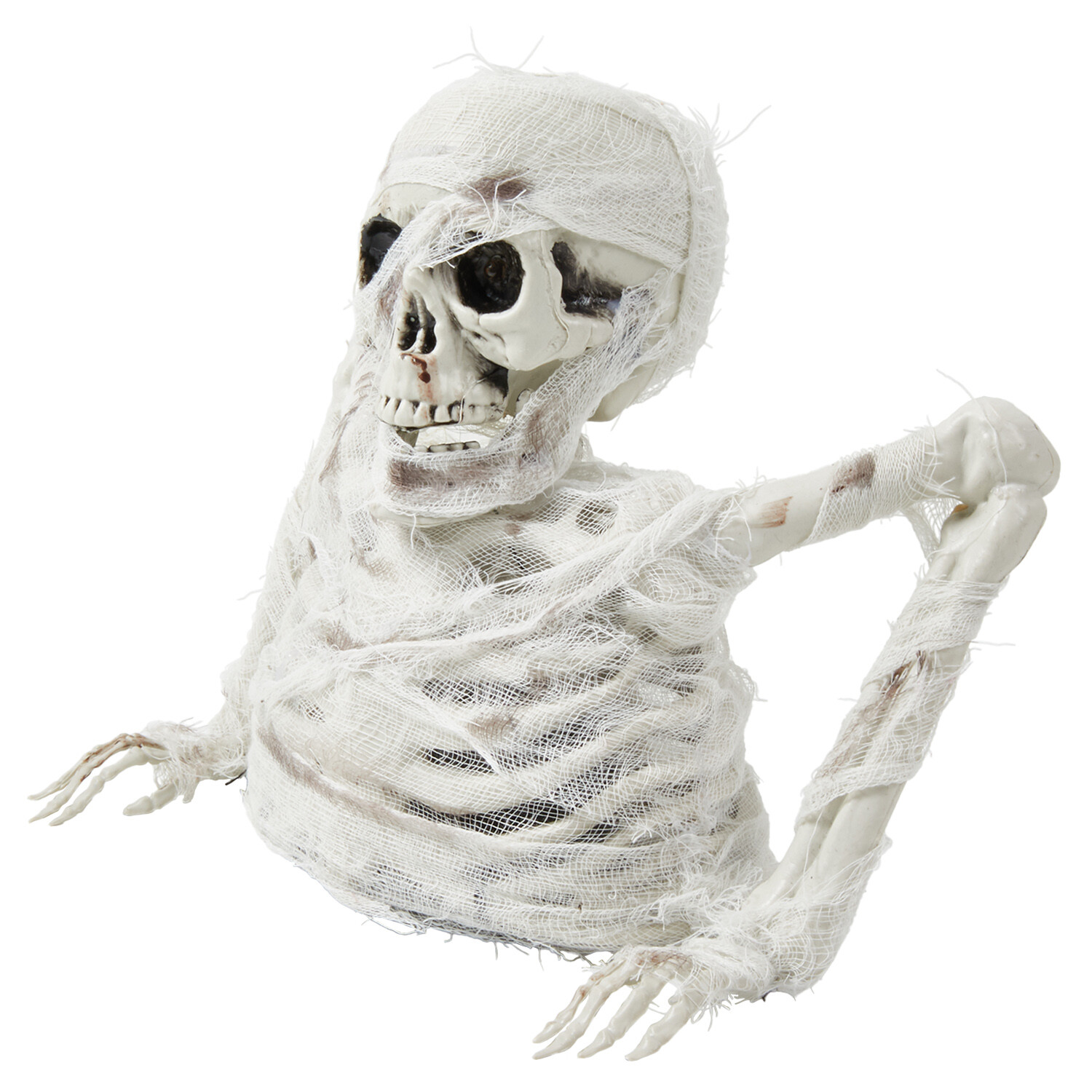 Skeleton Mummy White Image 3