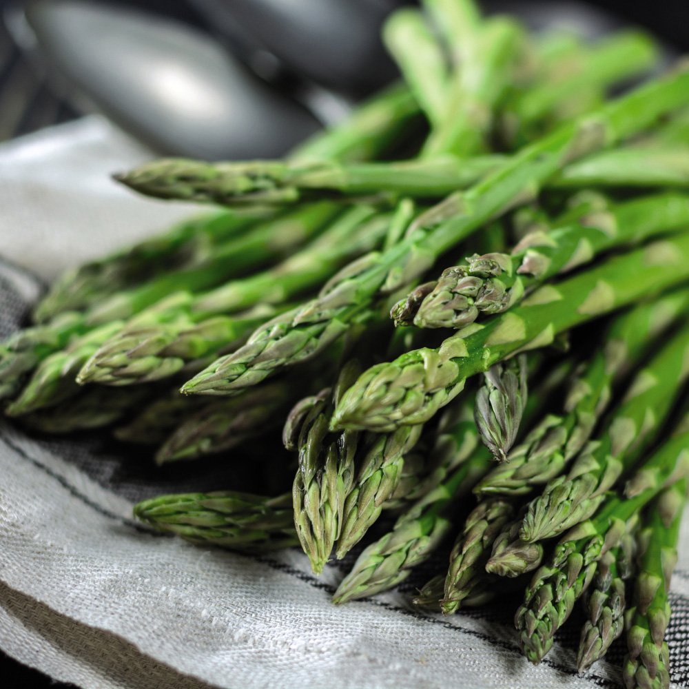 Thompson and Morgan Asparagus Gijnlim Crown 10 Pack Image 1